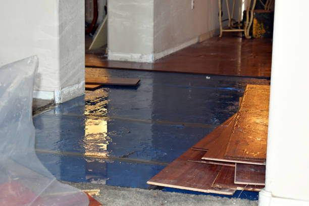 Professional Water Damage Restoration technician working in Salvisa, KY